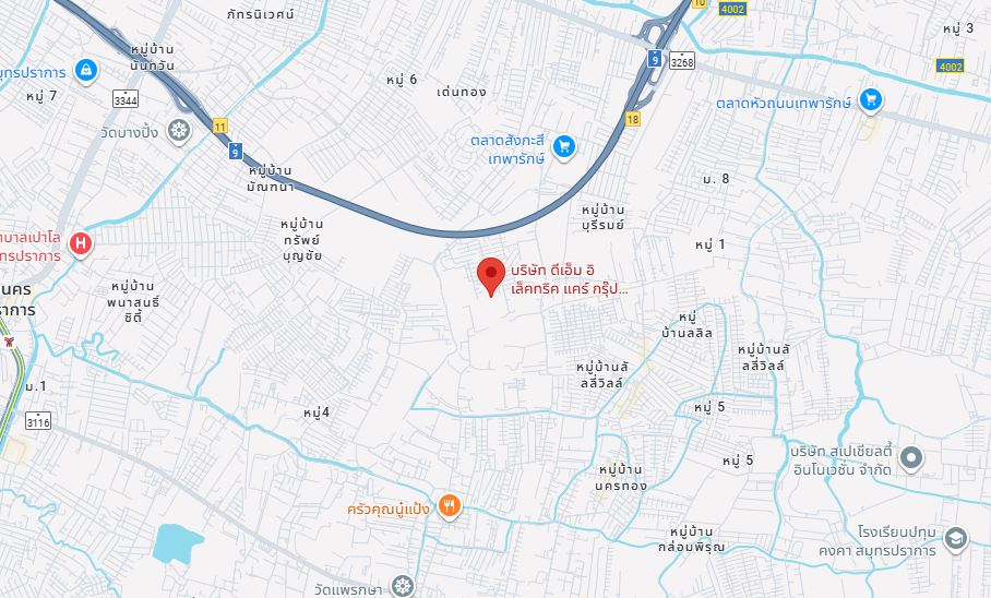 Google Map Preview