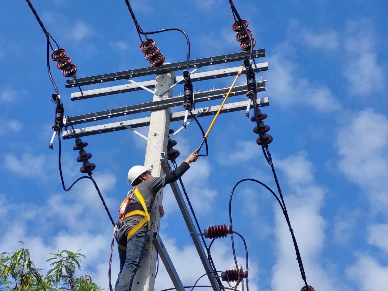 ภาพการตรวจสอบ Overhead Line